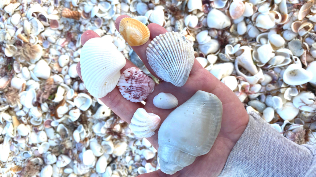 Embrace your uniqueness